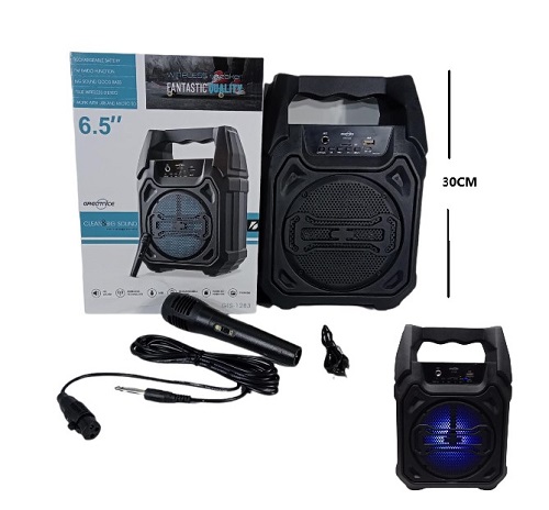 Parlante Karaoke 1283ii Incluye Microf USB BT etc