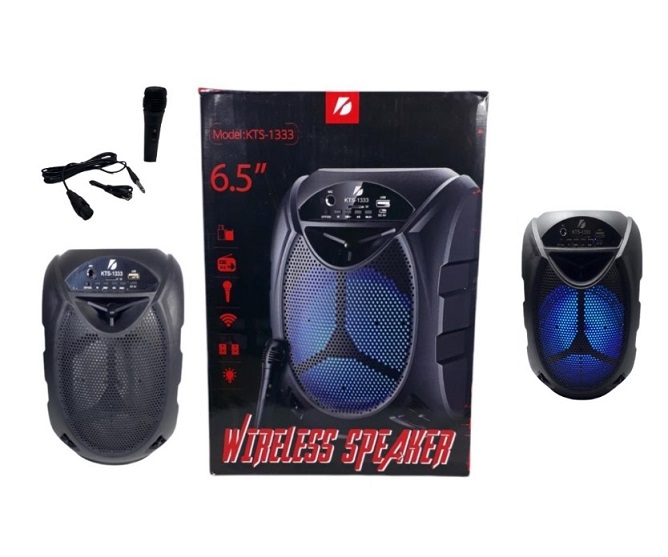 Parlante Karaoke Incluye Mic BT USB Radio 1333ii