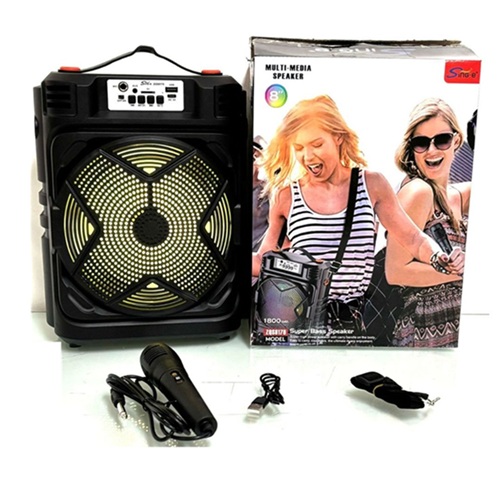 Parlante Karaoke 8 Pulg Multifunciones PAR-8178oo