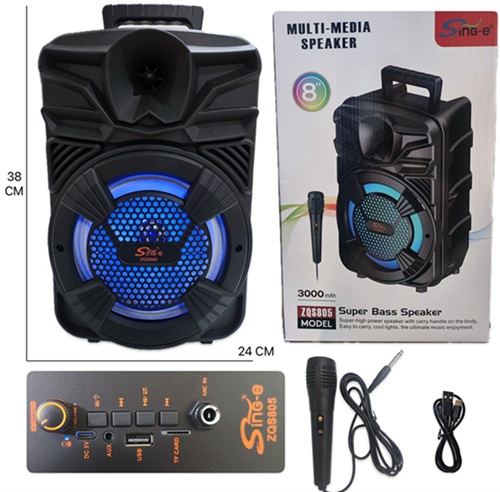Parlante Karaoke 8 Pulg Multifunciones PAR805oo